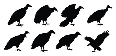  Vulture Silhouette Vector Set - Bird of Prey Clipart for Wildlife Designs