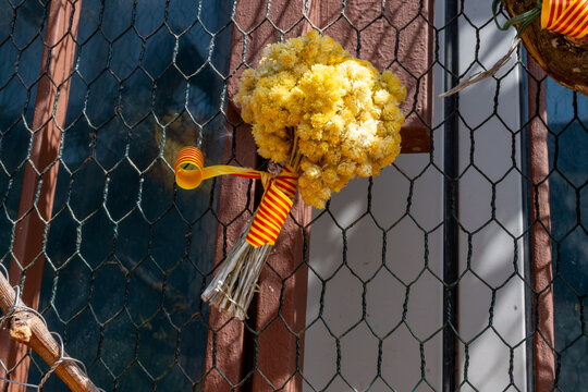 View of colourful Collioure, steet decoration with bouquet of dried yellow flowers, summer vacation destination town with historical buidings and beaches, Pyrenees-Orientales, France