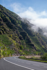Fototapeta premium Driving car on road with forests in Calmont region with steepest vineyard in Europe on Moselle river valley, outdoor activities, hiking and klimbing in Germany, travel destination near Bremm