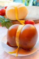 Cheese collection, white and smoked yellow italian scamorza cheese