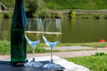 Drinking German dry white riesling wine with view on terraced vineyards in Punderich wine willage on Moselle river valley, wine making industry in Germany, glasses of wine