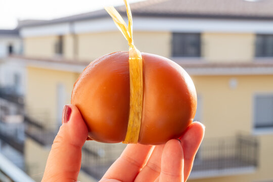 Cheese collection, hand with smoked yellow italian scamorza cheese and italian town on background