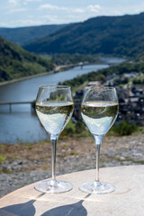 Drinking German dry white riesling wine on terraced vineyards with view on Moselle river valley, wine making industry in Germany, glasses of wine