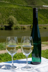 Drinking German dry white riesling wine with view on terraced vineyards in Punderich wine willage on Moselle river valley, wine making industry in Germany, glasses of wine