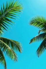 Vibrant Green Palm Fronds Against a Clear Azure Sky, a Tropical Paradise Image Perfect for Relaxation and Vacation Themes