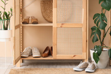 Closet with women's shoes in hallway