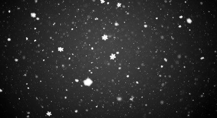 Soft, detailed snowflakes gently falling against a deep, dark, monochromatic background