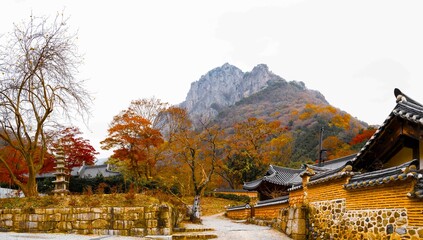 장성 백양사의 가을 단풍