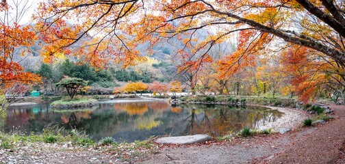 장성 백양사 도솔천 천변릐 가을 풍경