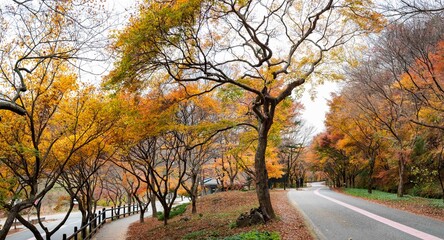 산사로 가는 아름다운 단풍길, 장성 백양사