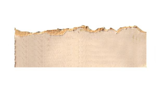 brown cardboard with a torn edge is isolated on transparent background
