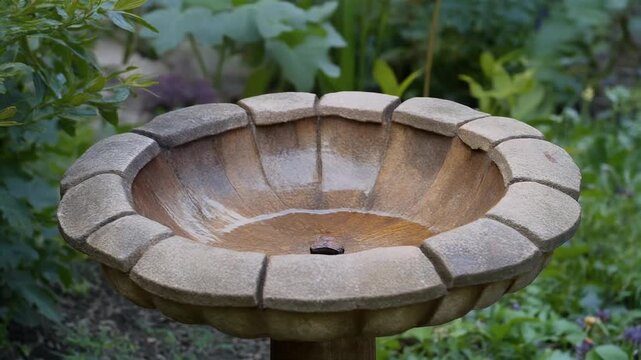 Weathered stone bird bath in a tranquil garden setting.