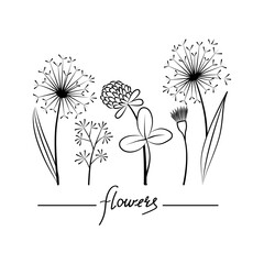 Black and White Wildflowers line Vector Illustration