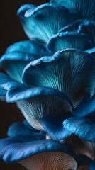 close up of a mushroom