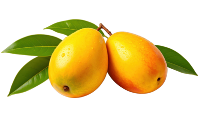 Two ripe, yellow mangoes with green leaves on a dark backdrop