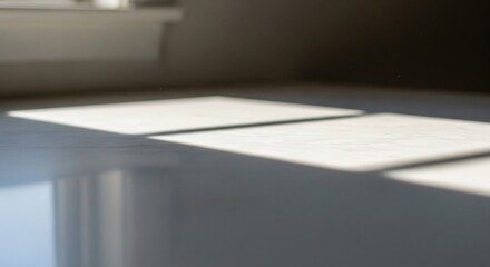 室内で窓から差し込む穏やかな自然光が床を照らす静かな瞬間