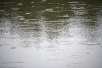 Rain Ripples On Quiet Water Surface After Fresh Rain Creating Gentle Concentric Rings