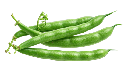 Close-up of four fresh, vibrant green string beans with stems and vine