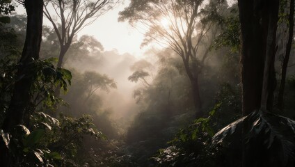 Obraz premium Sunlight filtering through a dense, misty jungle canopy, creating a serene and ethereal atmosphere in the tropical forest.