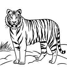 Obraz premium tiger vector illustration