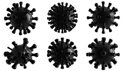 Six different views of a dark, spiky spherical biological structure against black