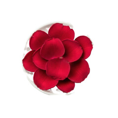 Elegantly arranged dried vibrant red rose petals on a small white ceramic plate, isolated against a seamless transparent background with no shadows, pristine minimalist beauty