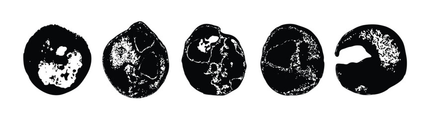 Abstract ink background, grunge art. Black paint stroke texture on white paper in marble style. Wallpaper for web design and games. Hand drawn watercolor isolated illustration.