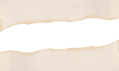brown cardboard with a torn edge is isolated on transparent background
