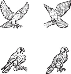 Falcon Silhouette Collection – Perching, Standing, and Wing Spread Poses