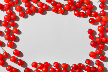 Frame made of fresh viburnum berries on white background, closeup