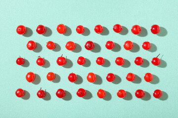 Composition with fresh viburnum berries on mint background, closeup