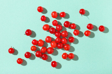 Heap of fresh viburnum berries on mint background, closeup