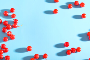 Frame made of fresh viburnum berries on blue background, closeup