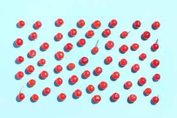 Composition with fresh viburnum berries on blue background, closeup