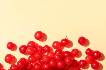 Fresh viburnum berries on beige background, closeup