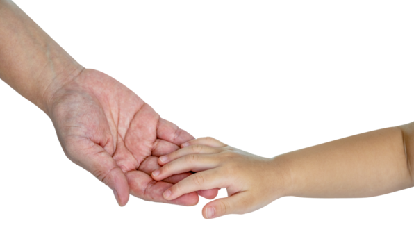 Adult and child hands from two generations, symbolizing care, guidance, and love passed down through time  isolated on white with clipping path PNG File.