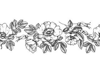 Rosehip hand-drawn ink vector seamless border. Pattern with flowers, leaves, and buds. Element for packaging and label design for tea and cosmetics.