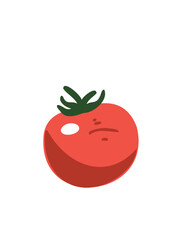 juicy tomato isolated for culinary use