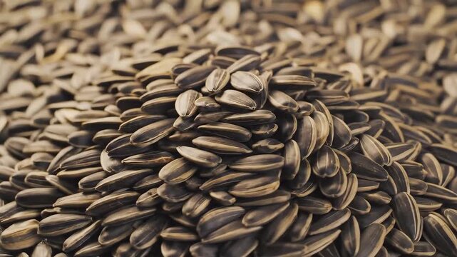 Pile of Sunflower Seeds CloseUp A Nutritious Snack and Healthy Treat.