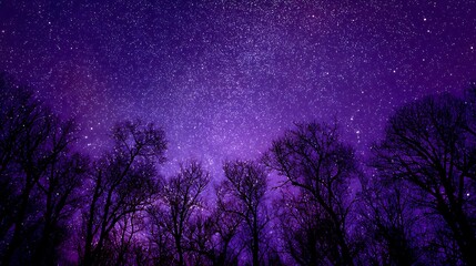 Mystical Purple Night Sky with Stars and Silhouetted Trees Capturing Celestial Beauty and Cosmic Serenity in Nature's Silence