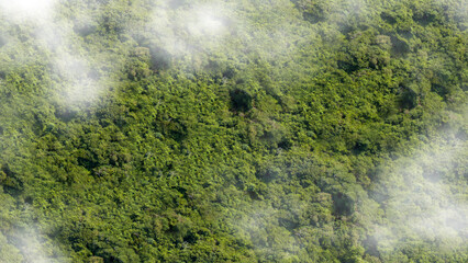 Aerial view of the clouds with a lush tropical landscape. Natural background