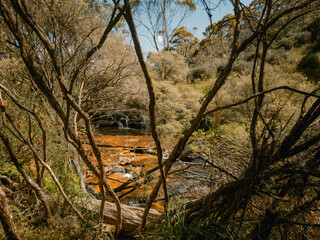 Blue Mountains NSW Australia, Dramatic Cliffs, Rainforest Valleys & Scenic Lookouts