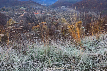 Chilly Morning in November
