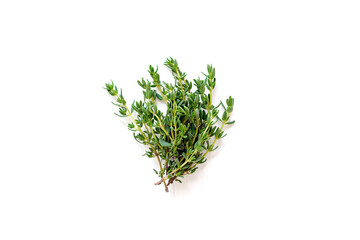 Thyme fresh isolated on white background.