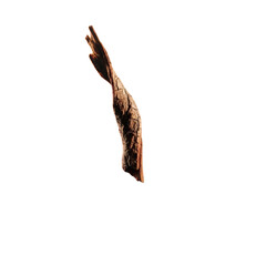 Textured brown natural element with organic shape, resembling a small branch or bark fragment, captured in detail, isolated on transparent background