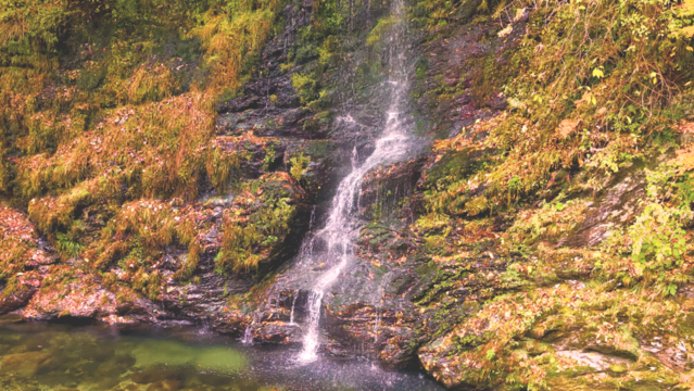 岩肌を流れ落ちる滝 - 澄んだ水と色づく木々