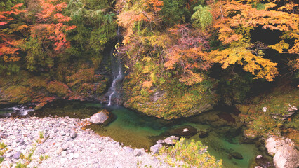 紅葉に囲まれた渓谷の滝と清流のドローン空撮