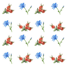 chicory and rosehip, seamless watercolor pattern, illustration for packaging, textiles, stationery, and tableware