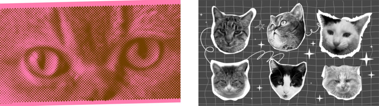 Halftone effect funny cat heads. Trendy retro y2k pet, funky emoticon animal, pop aesthetic. Meme head Punk collage made from elements. Cat, animal, pet from different angles, different poses, 