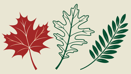 Fototapeta premium Botanical Leaf Set: Maple, Oak and Fern, Flat Pattern Illustration on Cream
